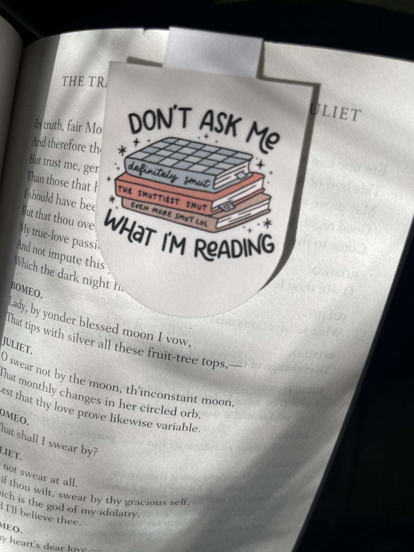 Don’t Ask Me What I’m Reading Magnetic Bookmark | Smut Reader Bookmark | Funny Bookish Gift
